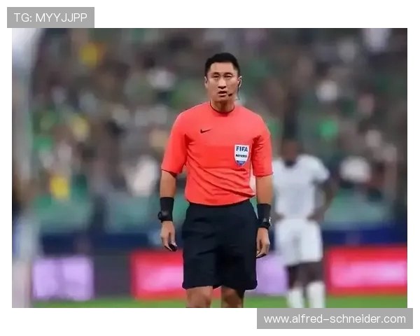 印尼前国脚批马宁误判称其扼杀2.7亿人梦想引发争议