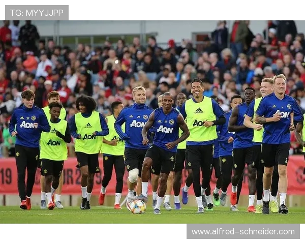 澳大利亚名哨亚历山大金执法海港客场挑战广岛三箭亚冠焦点战