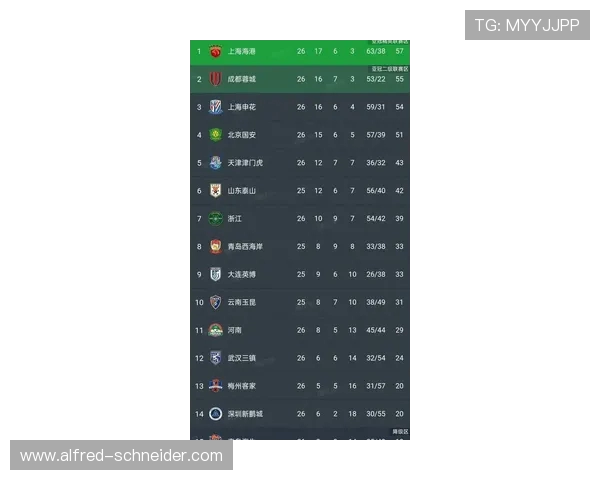 中超最新积分榜海港领跑梅州客家亚泰深陷降级区争夺激烈